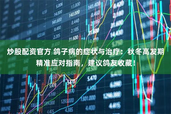 炒股配资官方 鸽子病的症状与治疗：秋冬高发期精准应对指南，建议鸽友收藏！